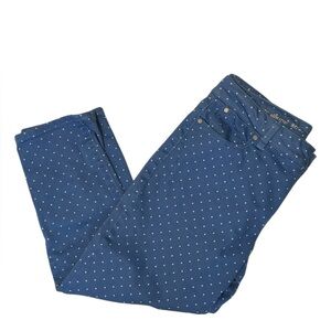 TALBOTS Blue Dotted Stretch Slim Crop Jeans Size 8P